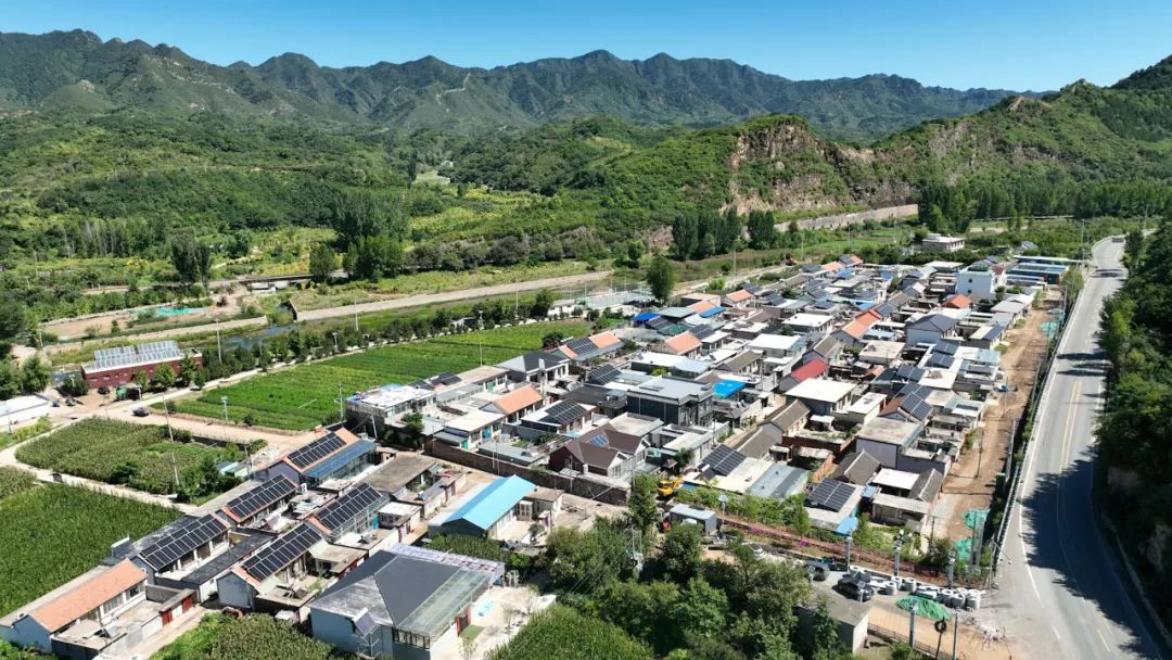 ����� | �ٷ���վ