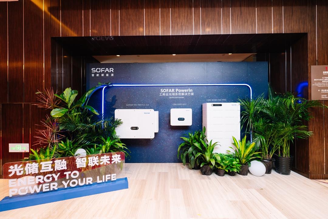 1691974782112066412.jpg 19aa573e-3061-4b46-ba18-1e5b8757c692.jpg