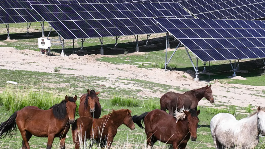 ����� | �ٷ���վ