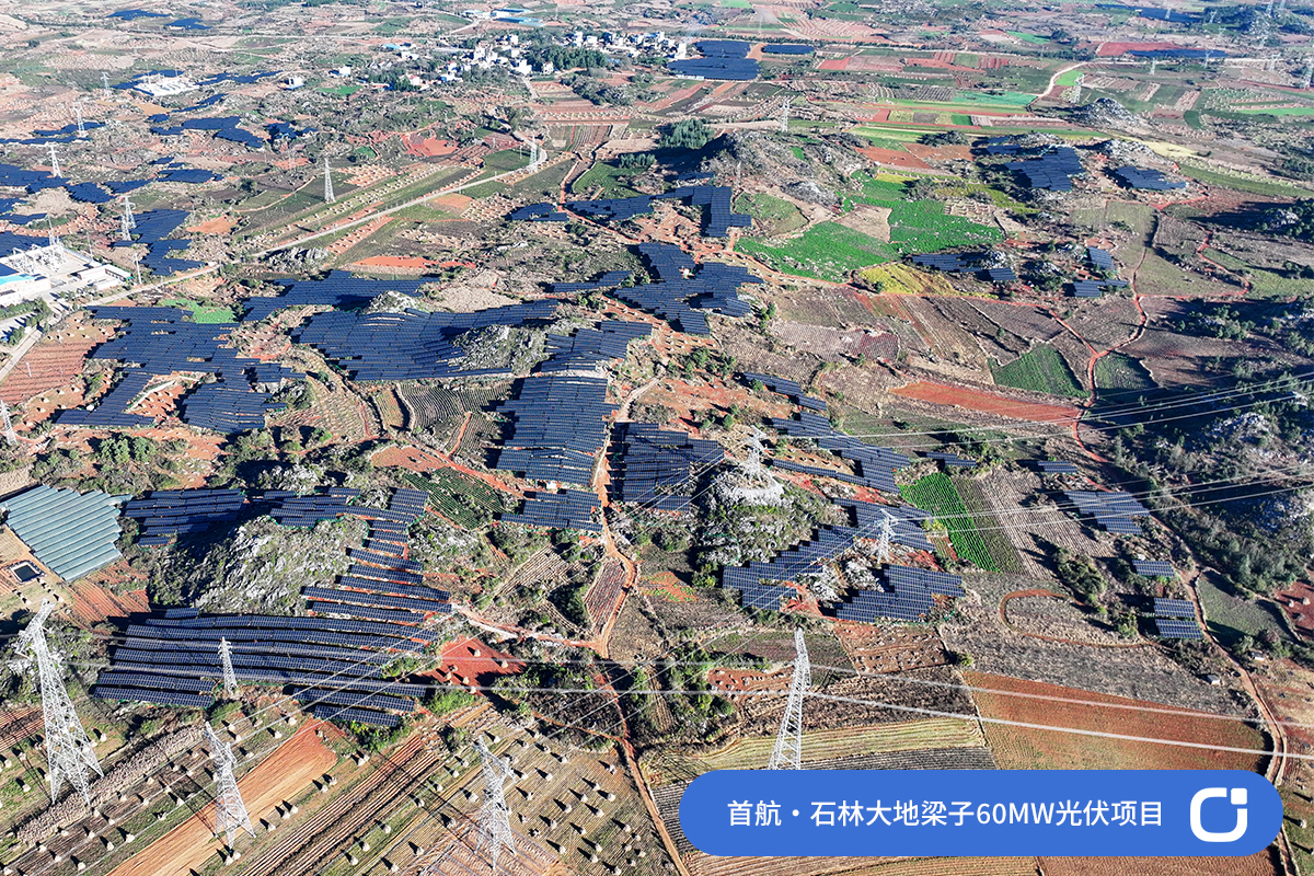 1737340326951077946.jpg 001.jpg